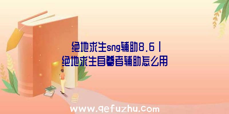 「绝地求生sng辅助8.6」|绝地求生自尊者辅助怎么用